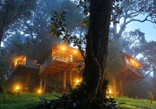 Munnar-Tree-House-packages