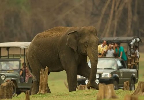 nagarahole-elephant-tour