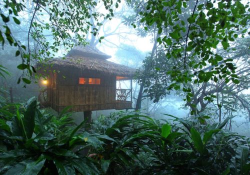 treehouse-munnar