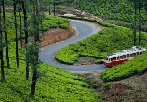 vagamon